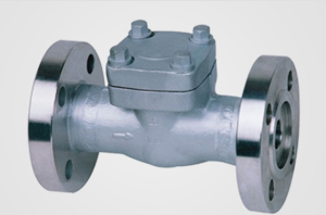 Check / Non-return Valve